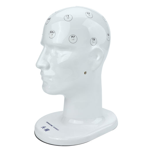 EEG Teaching