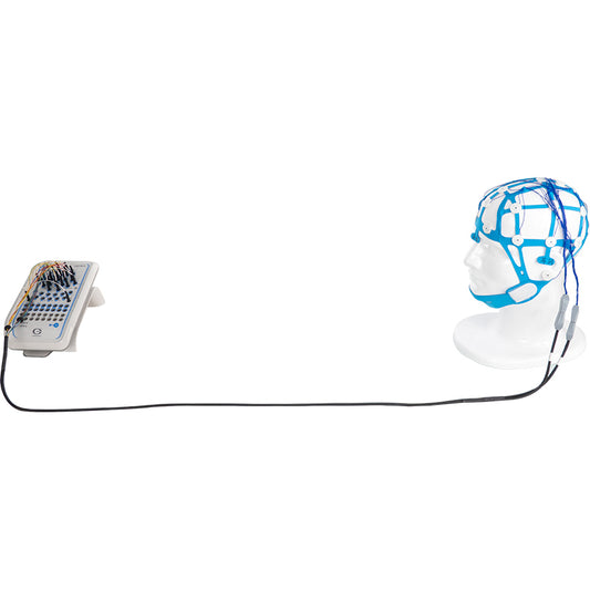 Disposable EEG Cap